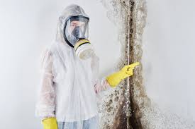 Hollister, MO Mold Remediation Company